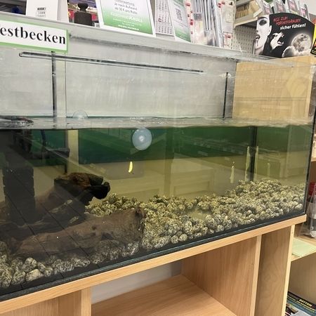 Wasserbecken mit Steinen und Holz zur Vorführung von Ködern im Angelgeschäft